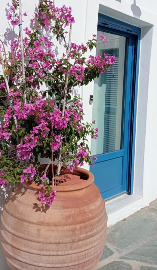The Veranda Of Gavrion-Exclusive, Centrally Located With Seaview Kültér fotó